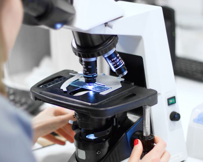 Diagnostic & Lab Technology, Fort Pierce Vet